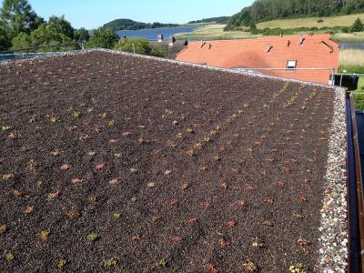 Dachbegrünung aus Mecklenburg-Vorpommern
